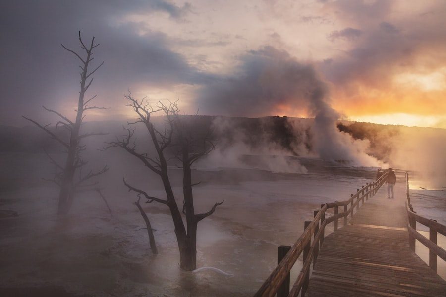 Mammoth Hot Springs terraces in Yellowstone National Park